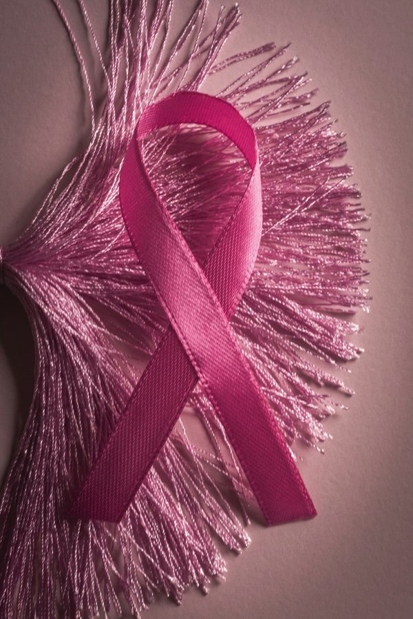 Come posso insegnare a un gatto di razza Tonkinese a non mordere i cavi elettrici?